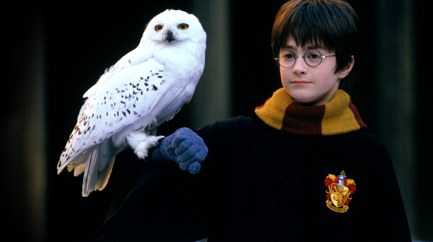 20-летие первой книги о Гарри Поттере отметят большой выставкой в Лондоне