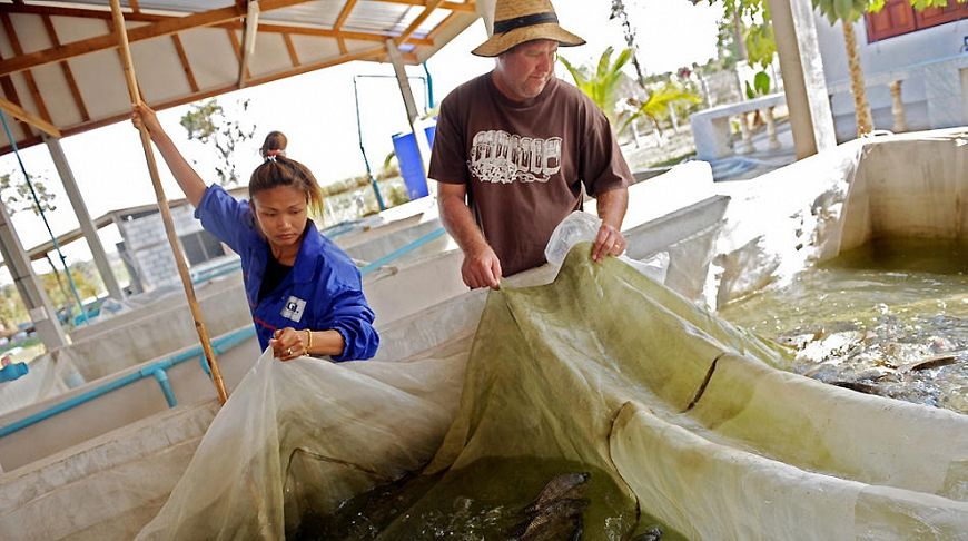 Австралиец Ронни Бенке и его тайская жена Парном ловят рыбу в собственном рыбном хозяйстве в провинции Кхонкэн 