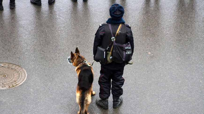 полицейский с собакой