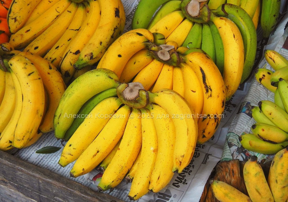 Какие бывают бананы. Банан Kluay. Бананы в Тайланде. Самые вкусные бананы. Разноцветные бананы.